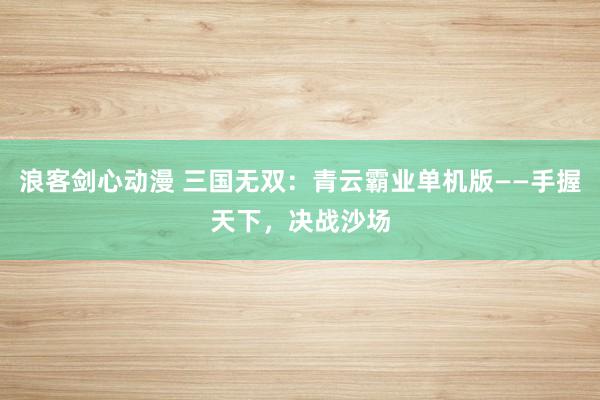 浪客剑心动漫 三国无双：青云霸业单机版——手握天下，决战沙场